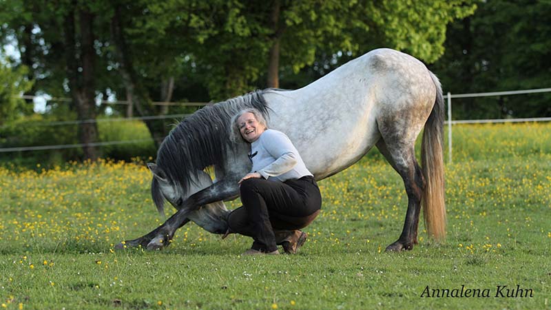 Ingrid Wild - Ausbildung für Pferd und Reiter